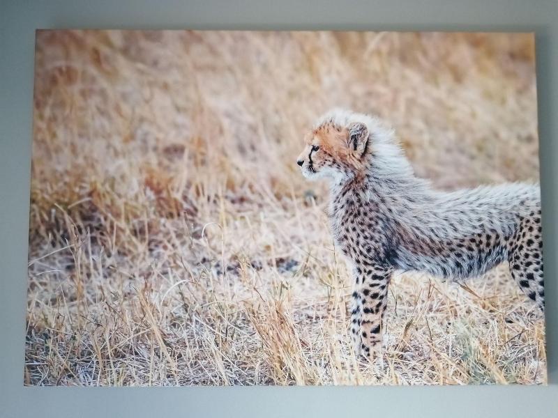 Ikamu S Lodge image