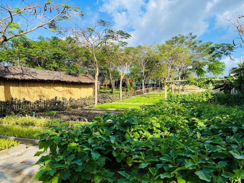 Ttc Van Phong Bay Resort image