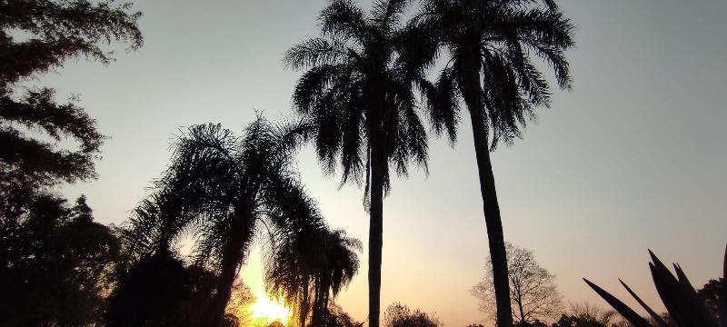 Posada 21 Oranges image