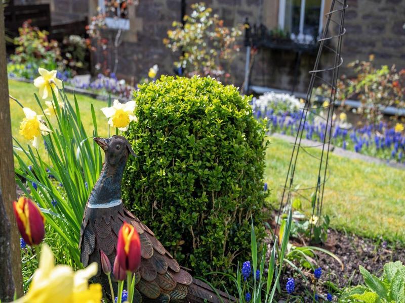 Leven House image