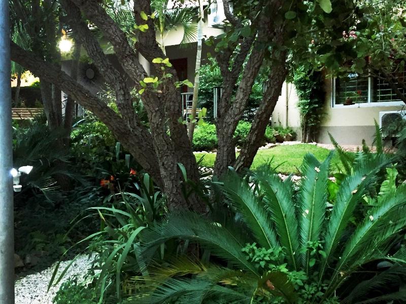 Palmwood Lodge image