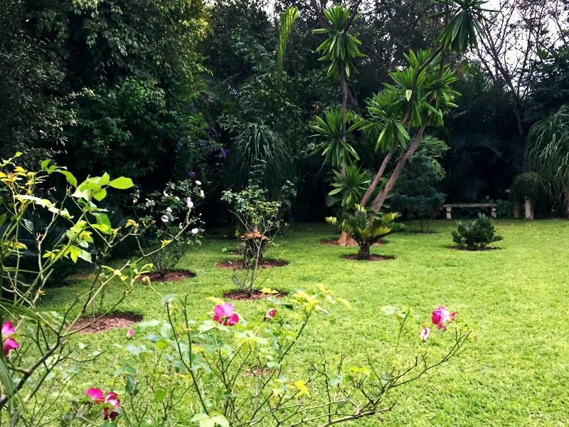 Palmwood Lodge image