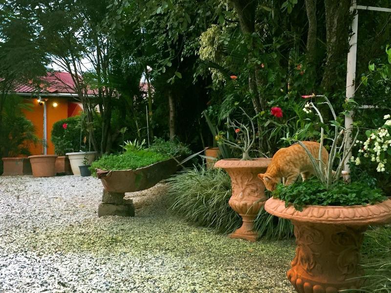 Palmwood Lodge image
