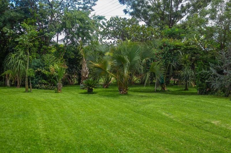 Palmwood Lodge image