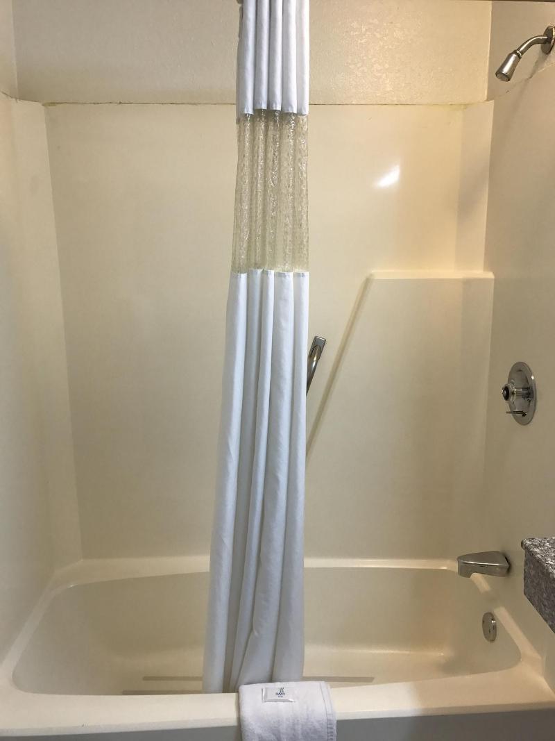 Royal Regency Inn image