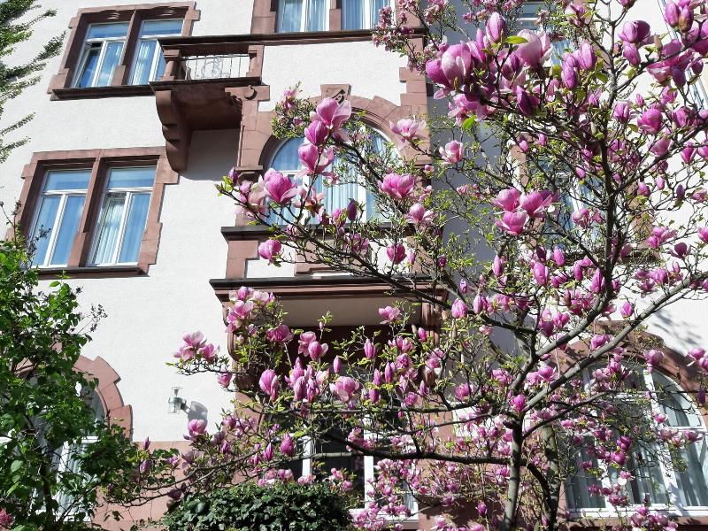 Hotel Robert Mayer image