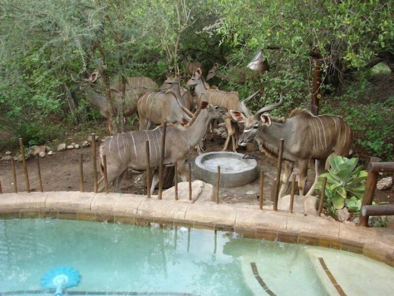 Marloth Kruger Accommodation image