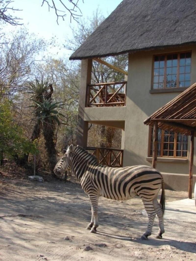 Marloth Kruger Accommodation image