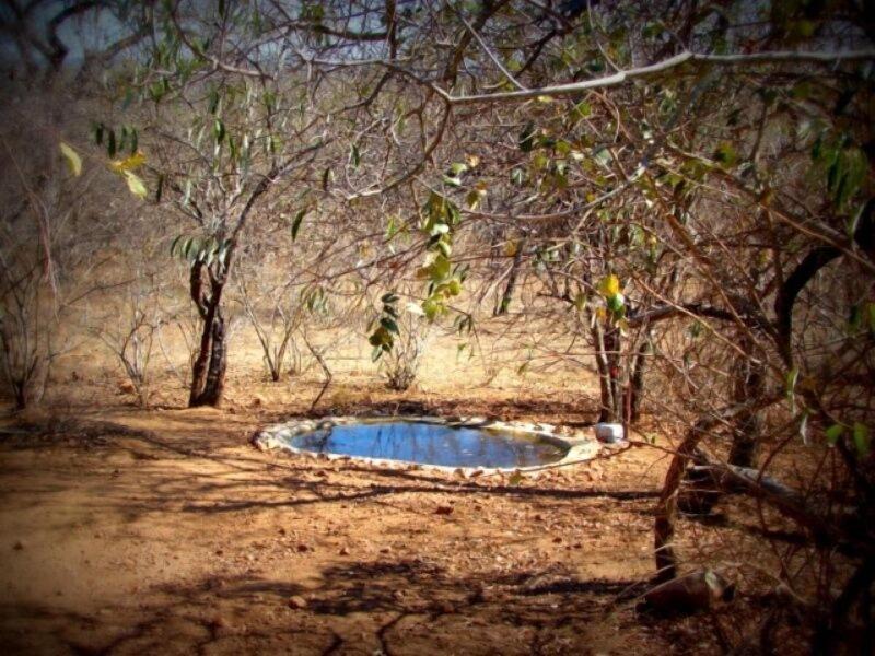 Marloth Kruger Accommodation image