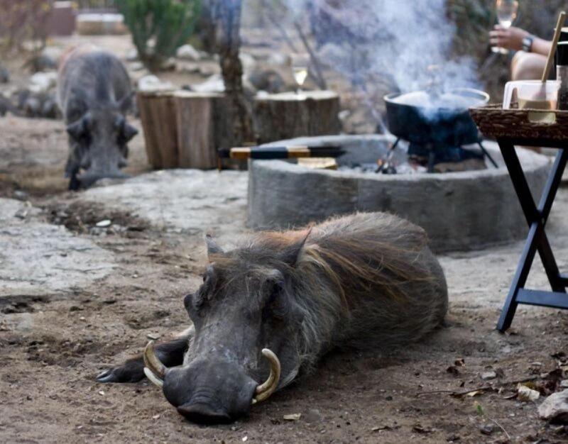 Marloth Kruger Accommodation image