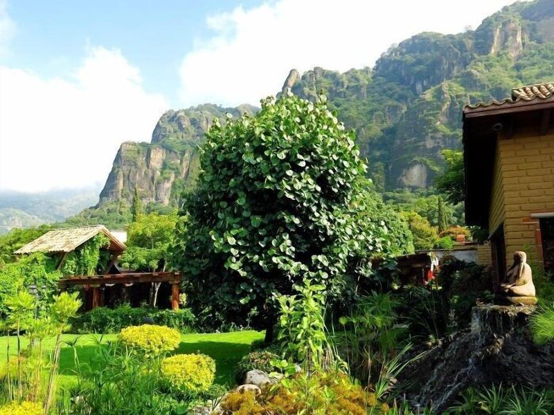 La Buena Vibra Retreat And Spa Hotel image