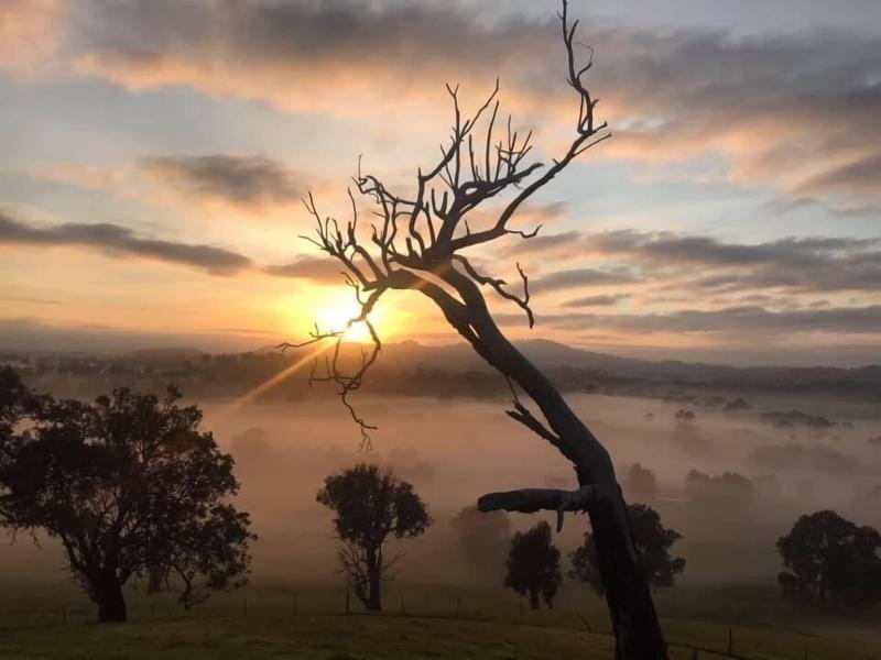 Burnt Creek Cottages Mansfield image