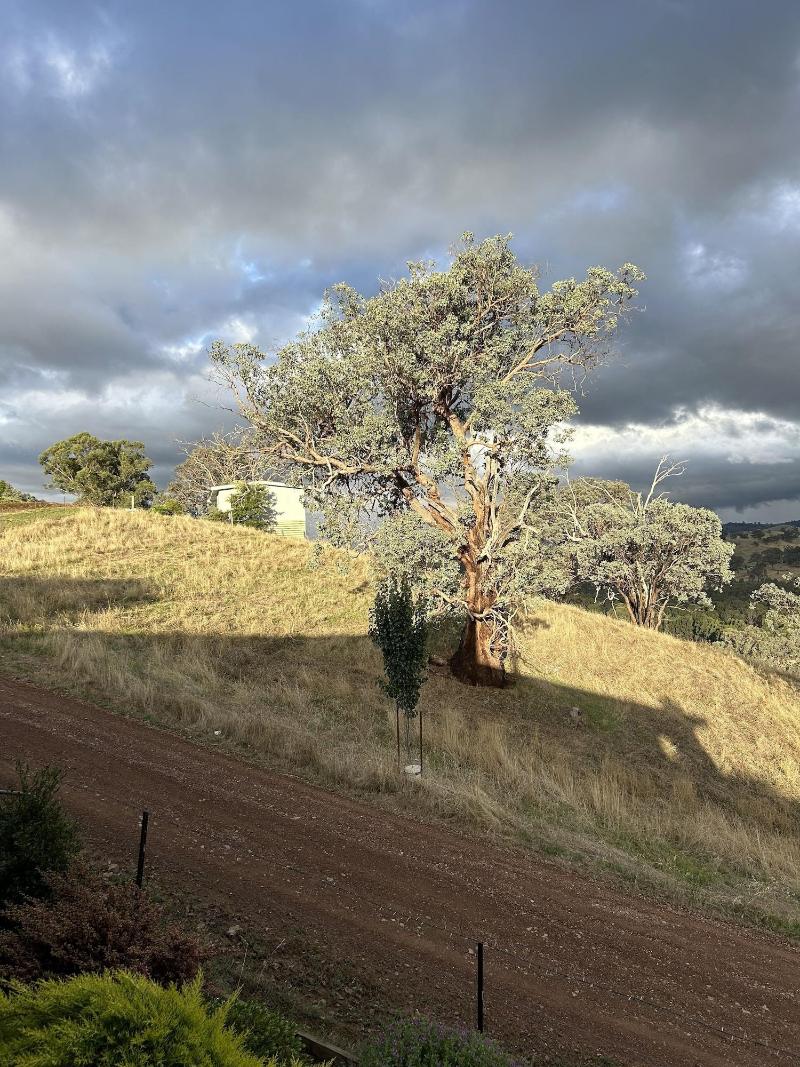 Burnt Creek Cottages Mansfield image