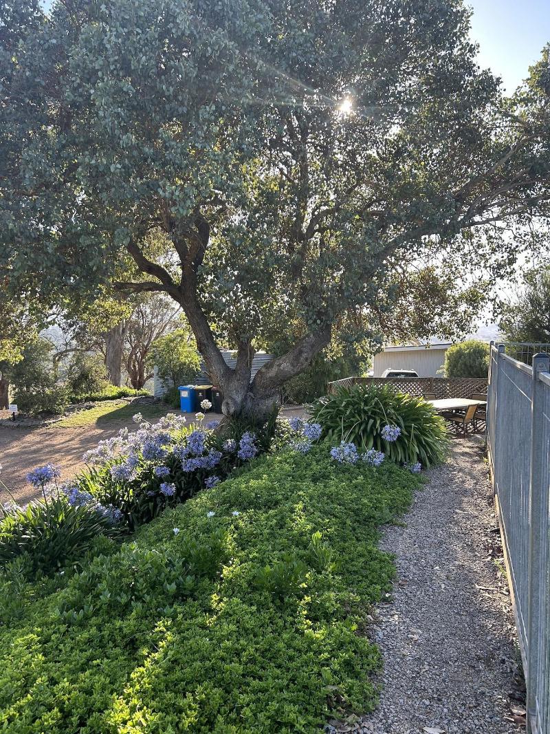 Burnt Creek Cottages Mansfield image