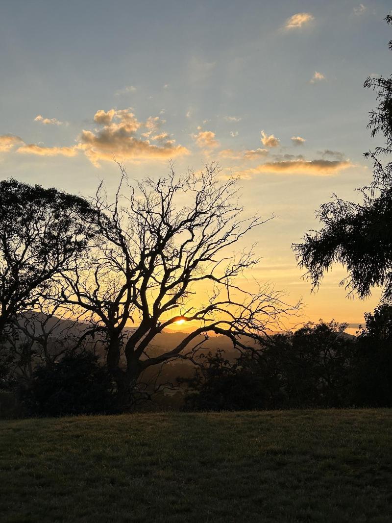 Burnt Creek Cottages Mansfield image