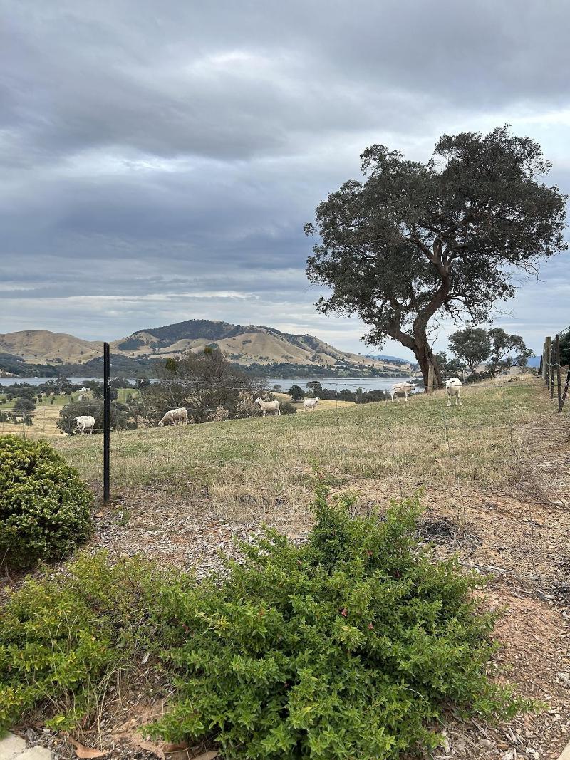Burnt Creek Cottages Mansfield image
