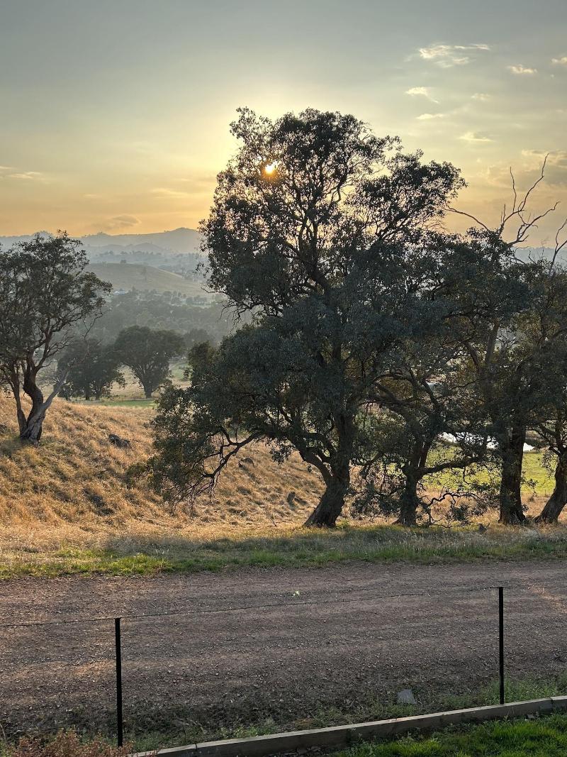 Burnt Creek Cottages Mansfield image