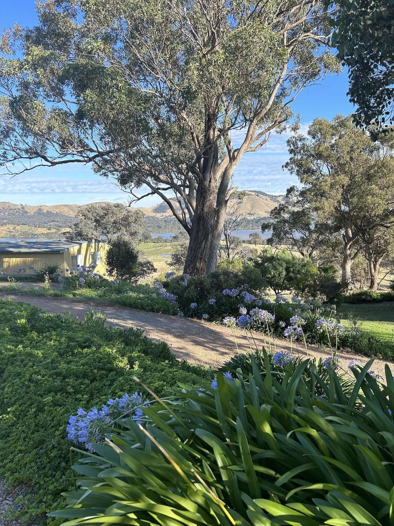 Burnt Creek Cottages Mansfield image