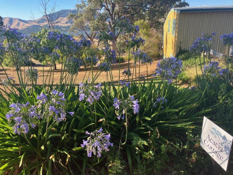 Burnt Creek Cottages Mansfield image