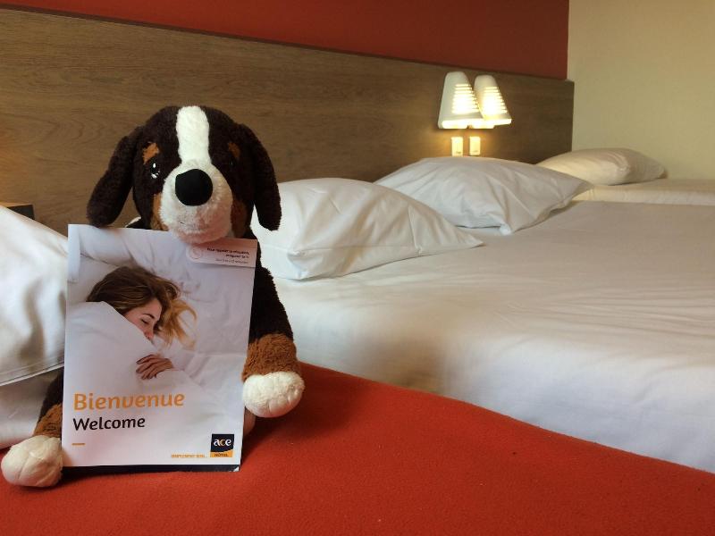 Ace Hotel Poitiers image