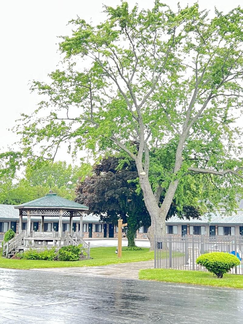 Viking Arms Inn image