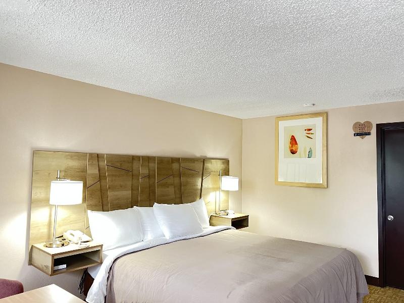 Viking Arms Inn image