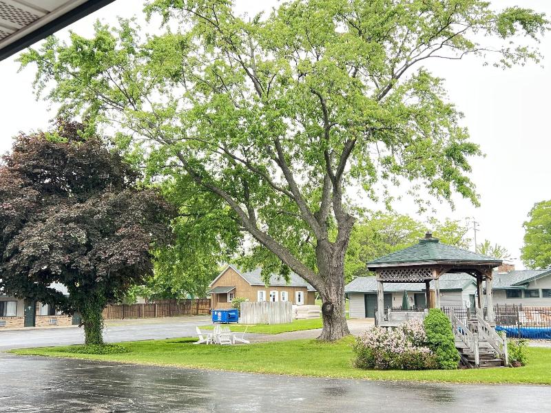 Viking Arms Inn image