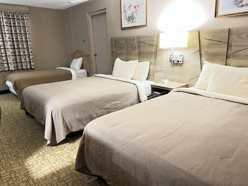Viking Arms Inn image