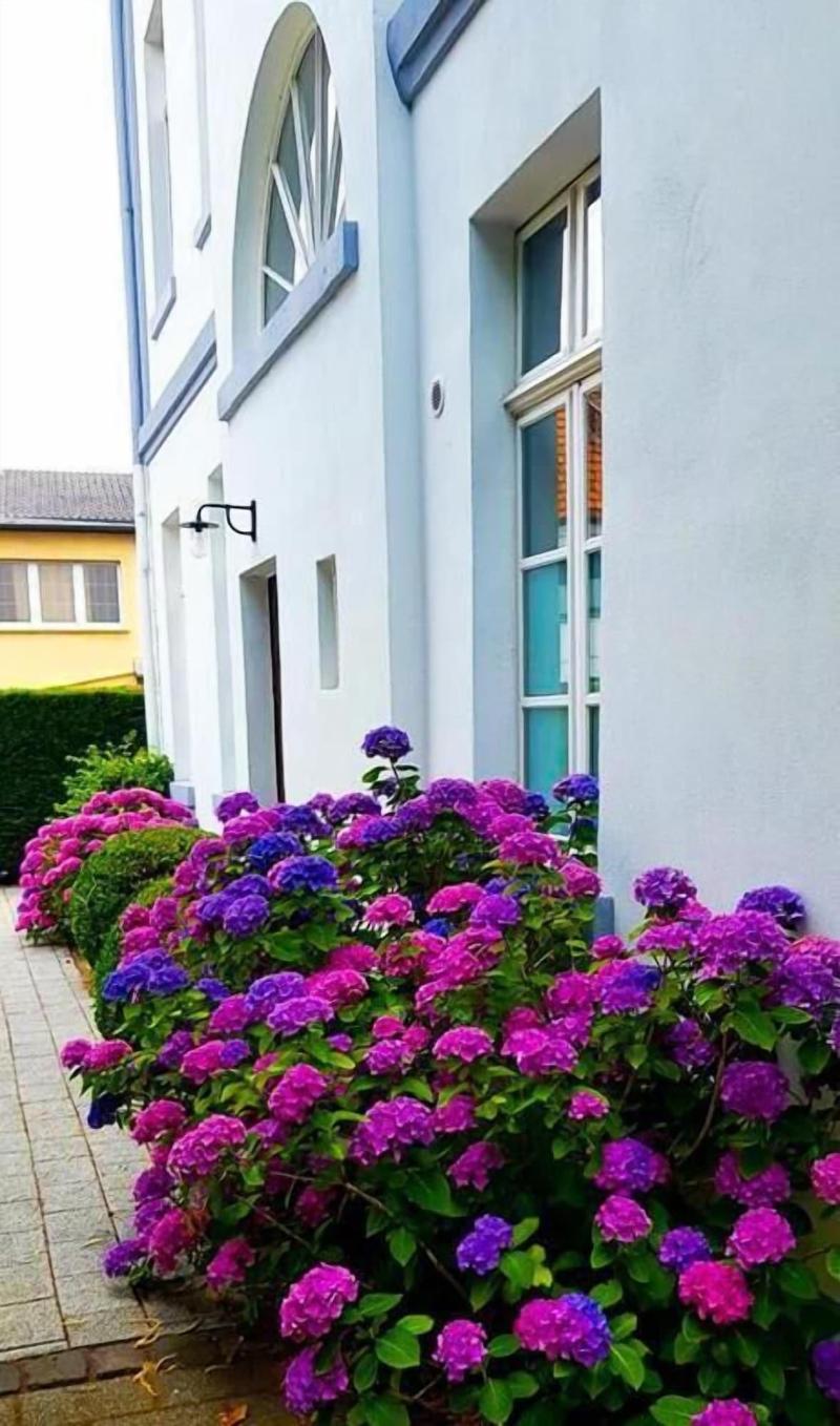 Hotel Zweilinden