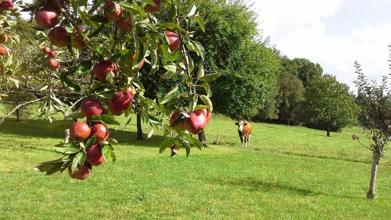 Casa De Graa A De Acea