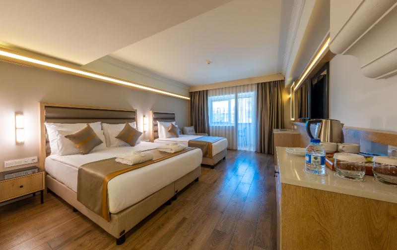 Aydinbey King's Palace Spa & Resort image