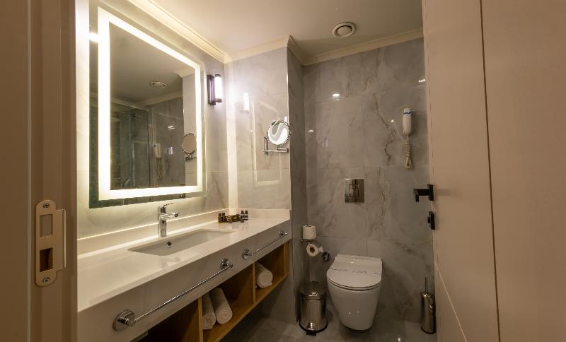 Aydinbey King's Palace Spa & Resort image