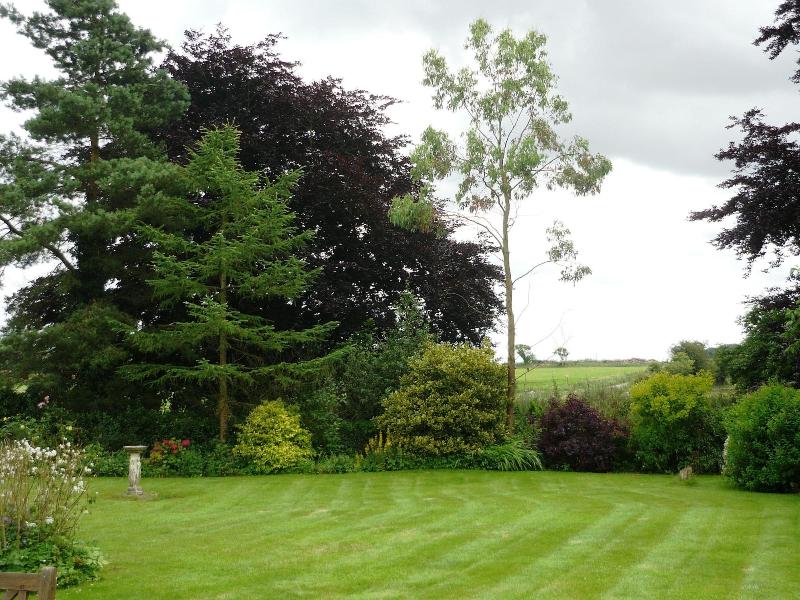 Windylands Bed And Breakfast image