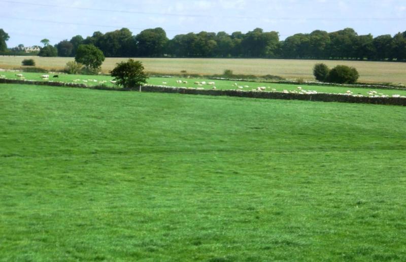 Windylands Bed And Breakfast image