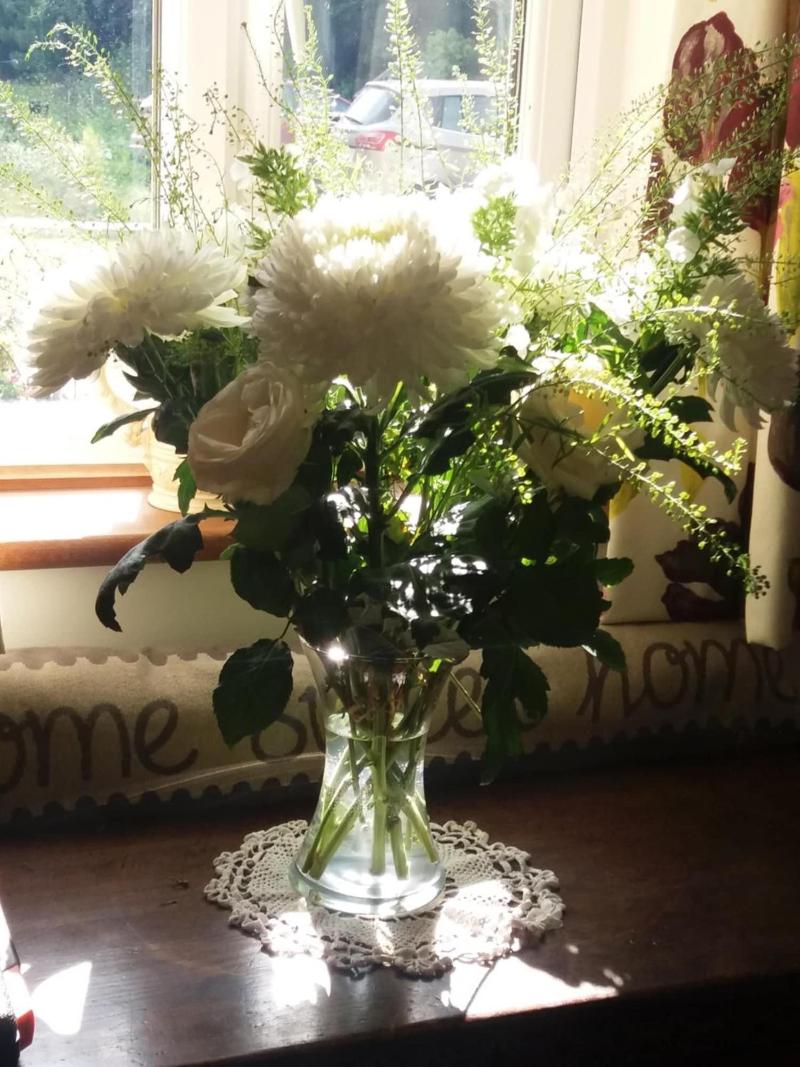 Windylands Bed And Breakfast image