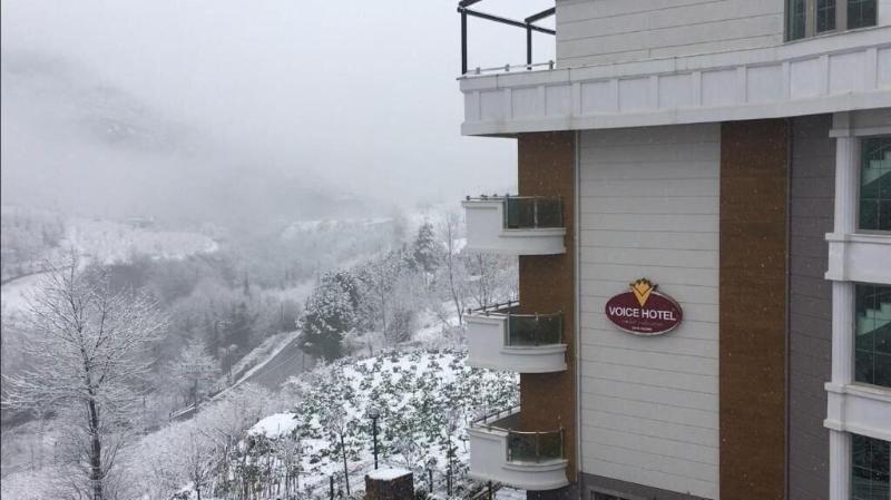 Voice Hotel image