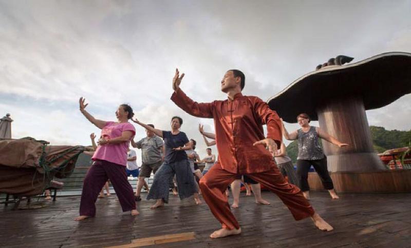 Halong Marina Bay Cruise image