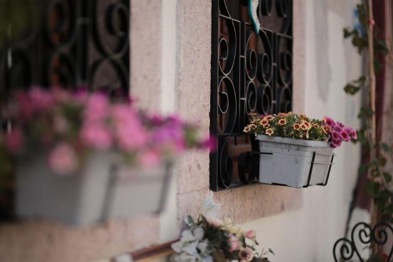 Ayvala K Palacitta Guesthouse