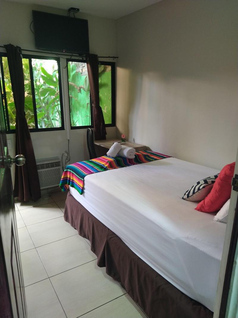 Hotel Antiguo image