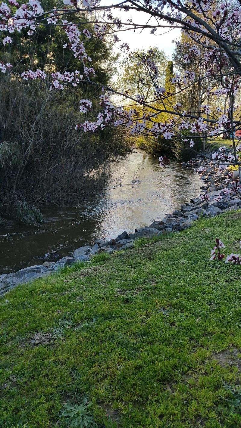 Yea Riverside Caravan Park image