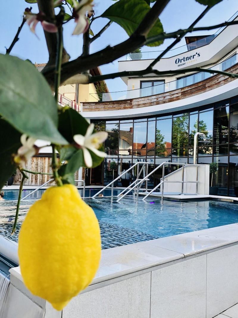 Ortners Resort image