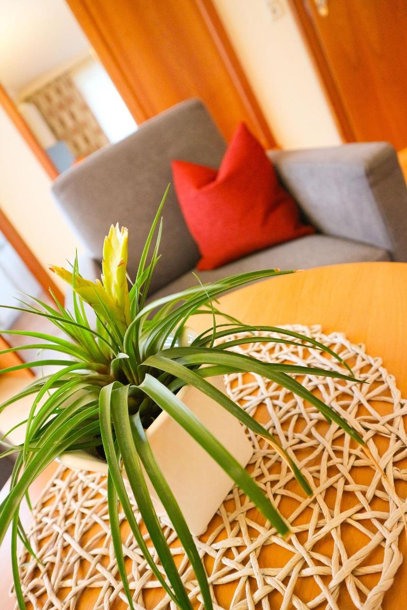 Ortners Resort image