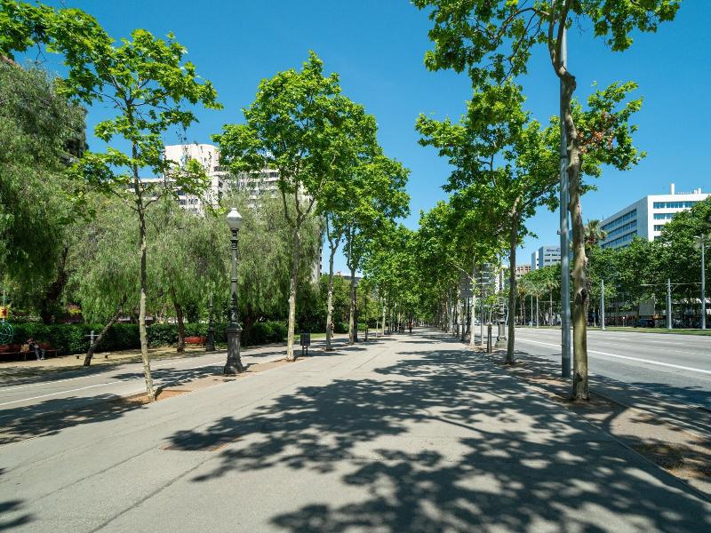 Limehome Barcelona Carrer De Fontcoberta image