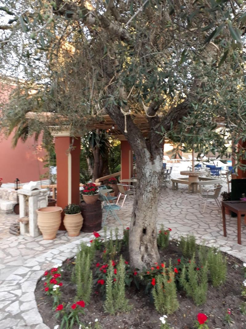 Pierhouse Hotel In Gouvia image