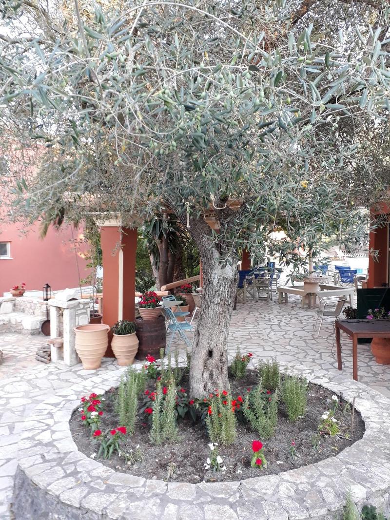 Pierhouse Hotel In Gouvia image
