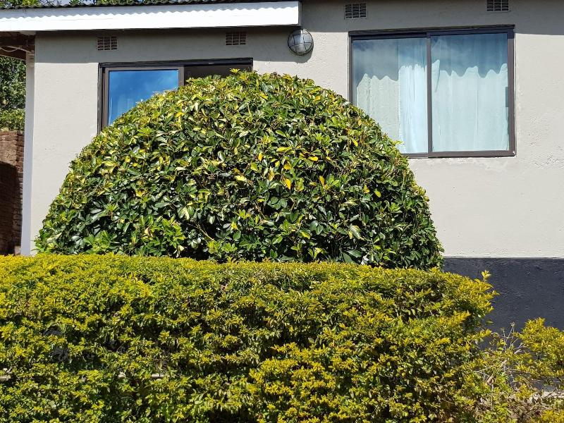 Chinyonga Guesthouse image