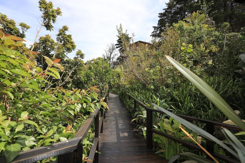 Big Tree House Lodge