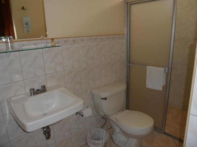 Hotel Austria image