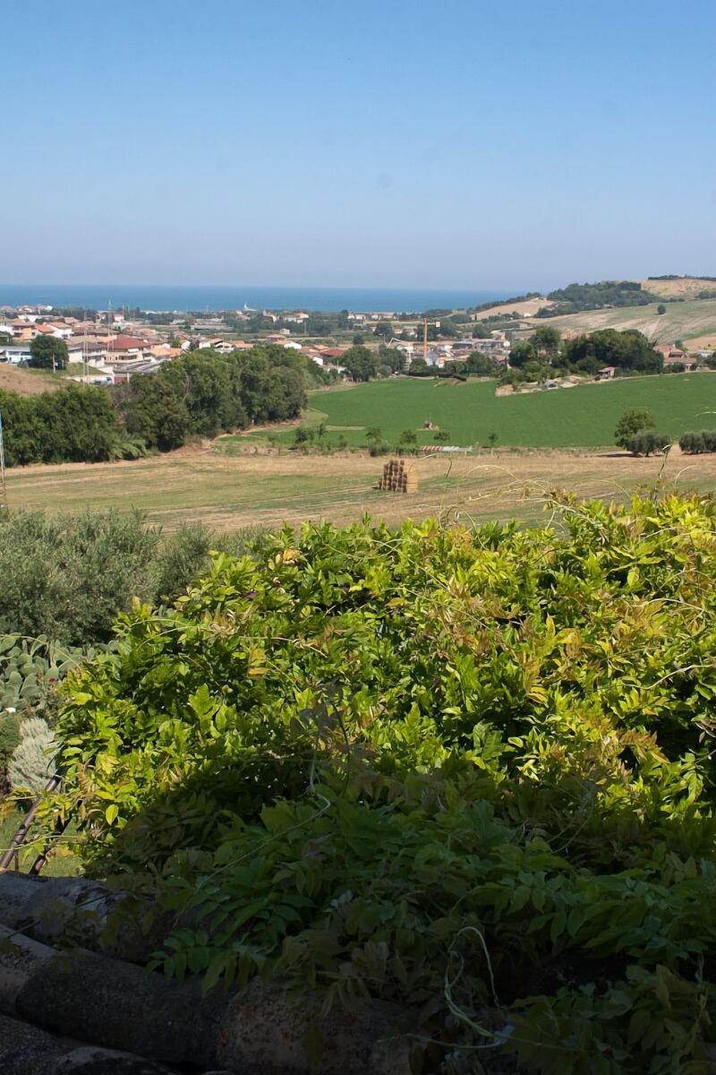 Villa Rondanella image