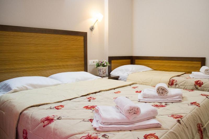 Hotel Rodon image